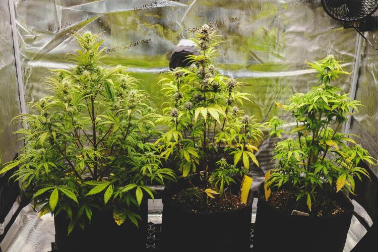 Welcome_Newbie_indoor. Week 6