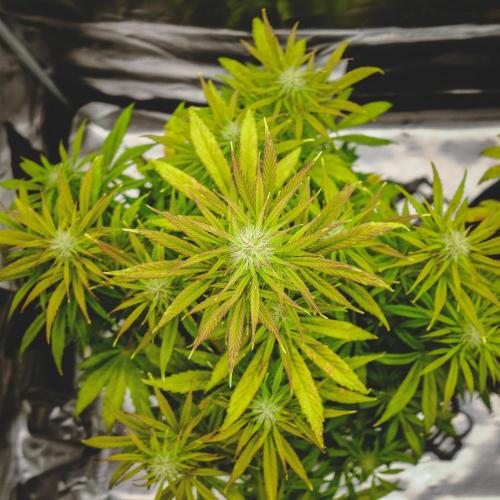 Welcome_Newbie_indoor. Week 6