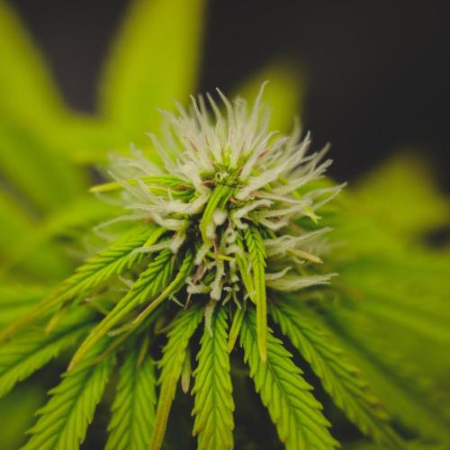 Welcome_Newbie_indoor. Week 6