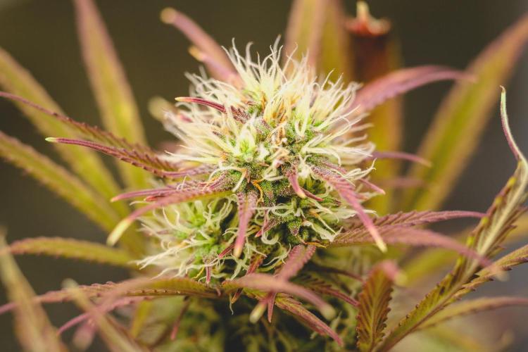 Welcome_Newbie_indoor. Week 7