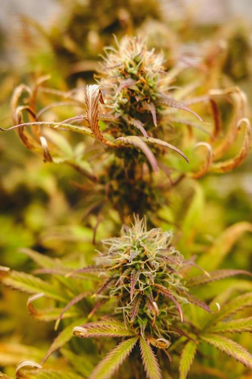 Welcome_Newbie_indoor. Week 8