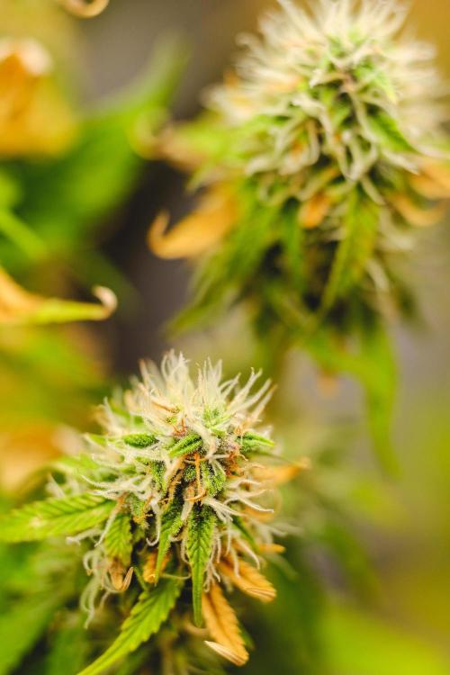 Welcome_Newbie_indoor. Week 8