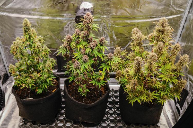 Welcome_Newbie_indoor. Week 9