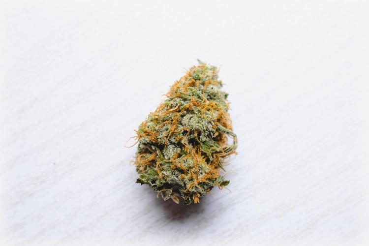 Welcome_Newbie_indoor. Week 10