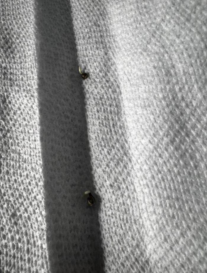 Do Si Dos and Bubba Thump. Week 0