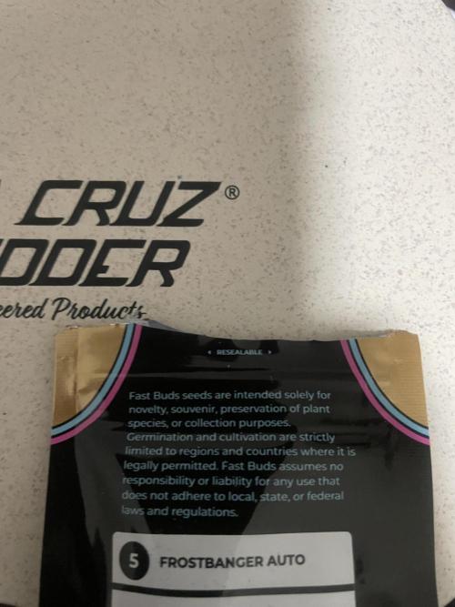 Frostbanger Auto #1. Week 0