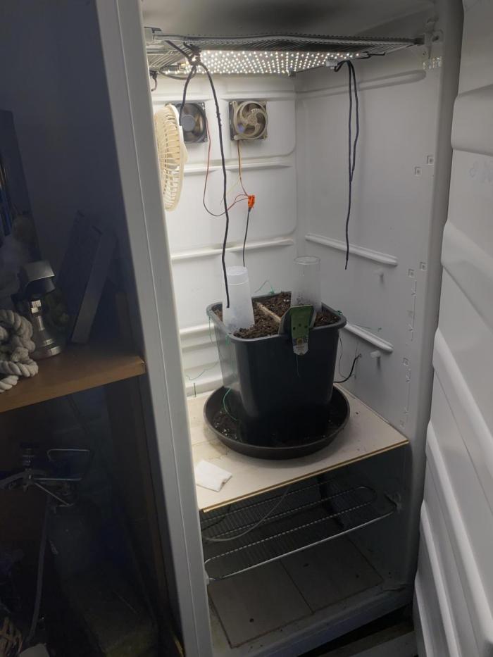 DIY Kühlschrank. Week 1 - Woche 1