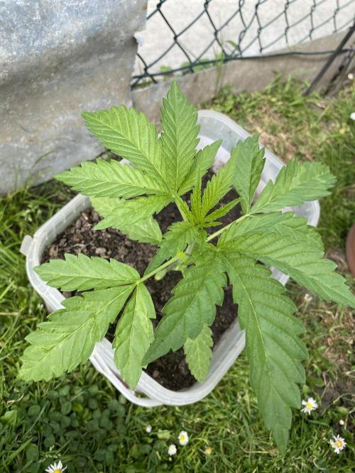 Outdoor 26. Week 3