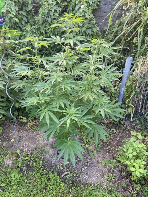 Outdoor 26. Week 1