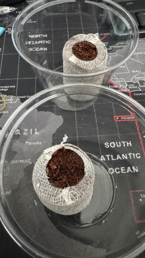 Pink Mist AF. Week 0