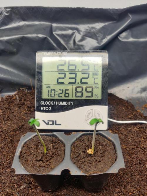 Frostbanger FB 11-12-25. Week 0