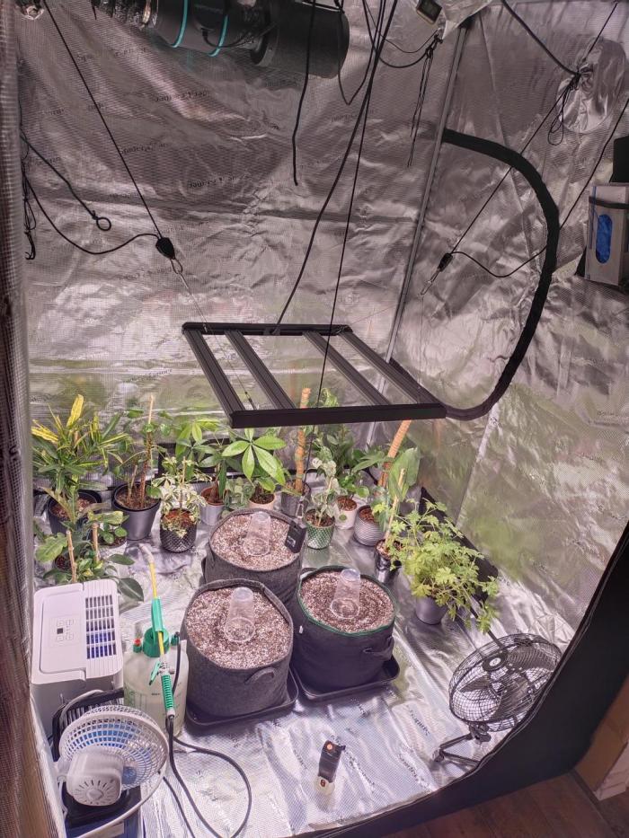 Bruce Banner. Week 0 - overview