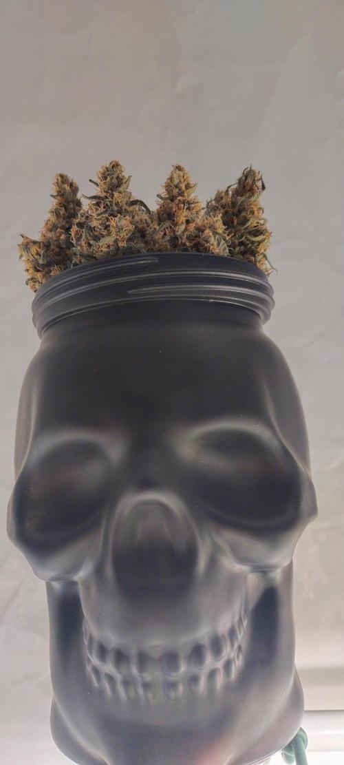 Bruce Banner#3. Week 16