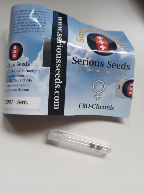 El Nebuloso Grows.... Week 1