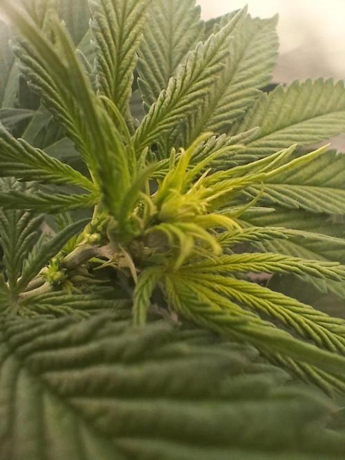 Buku.. Week 8