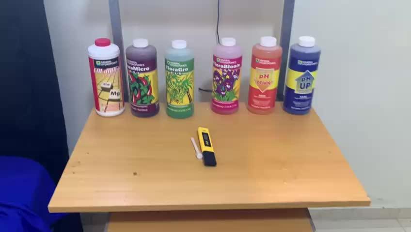 Flaco's | Special Kush 1 | Photoperiod |