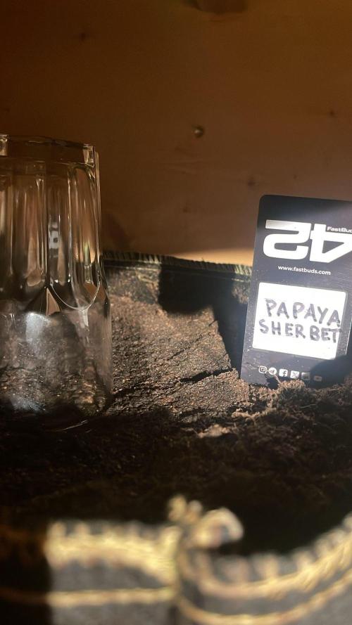 Canna-Community.Germany. Week 0 - Papaya noch nicht auf der Welt =)  