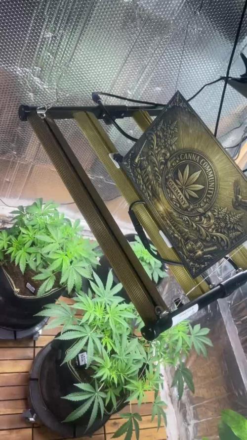 Canna-Community.Germany