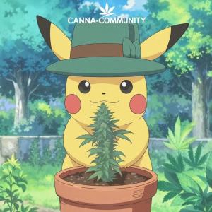 Comment by CCGS1mon photo #1