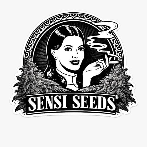 CCG x Sensi Seeds Grow. Week 0