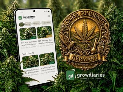 Comment by Canna-Community photo #1