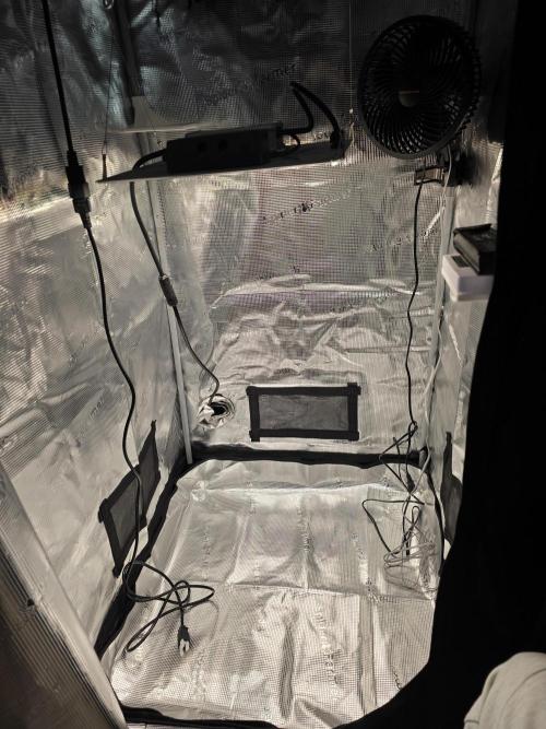 Grow #1 NYC yrrrrp. Week 0