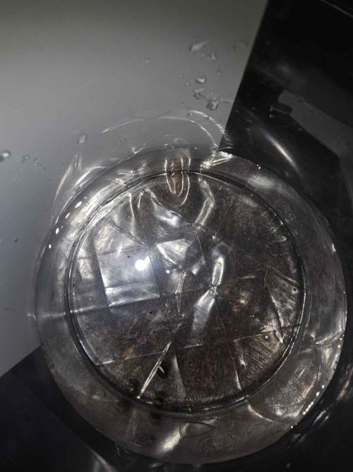 Anubis Unknow Strain lot. Week 0 - 12