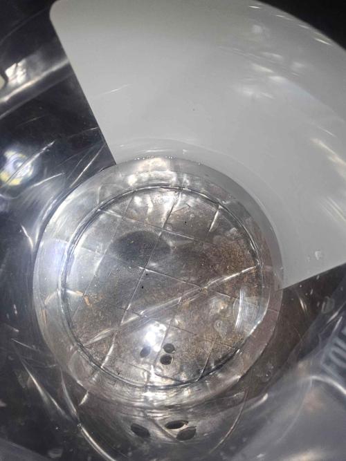 Anubis Unknow Strain lot. Week 0 - 6