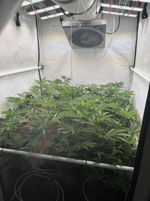 John Truffolta. Week 3