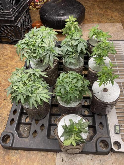 The Founders. Week 5