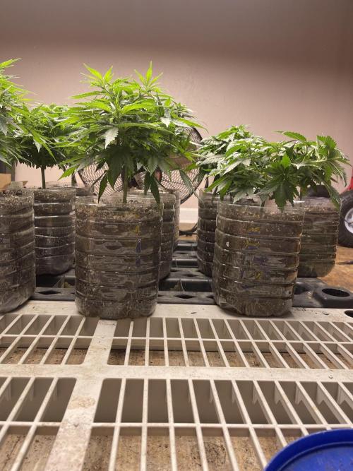 The Founders. Week 6