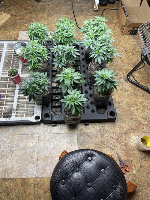 The Founders. Week 6