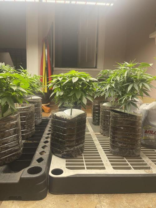 The Founders. Week 7