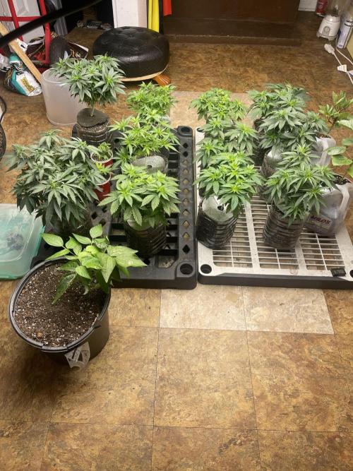 The Founders. Week 7