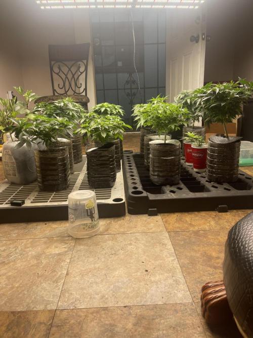 The Founders. Week 7