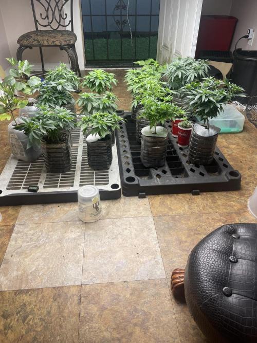 The Founders. Week 7