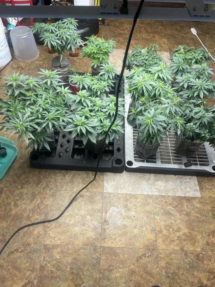 The Founders. Week 8