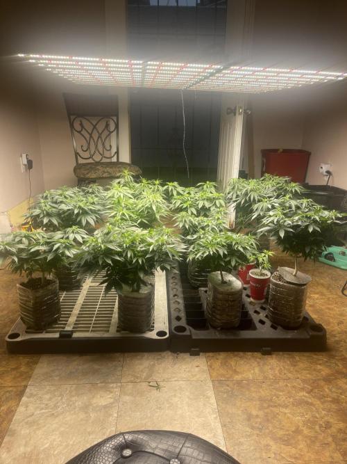 The Founders. Week 10