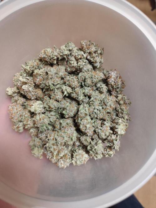 Blueberry Muffin. Week 8