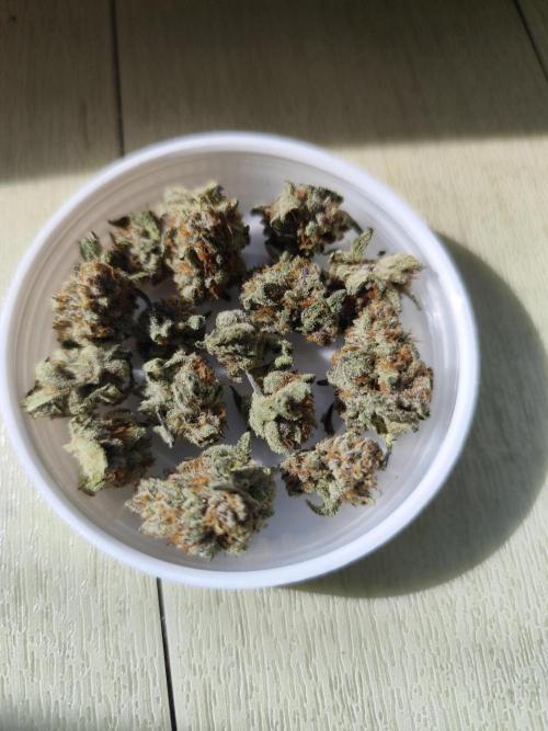 Blueberry Muffin. Week 8