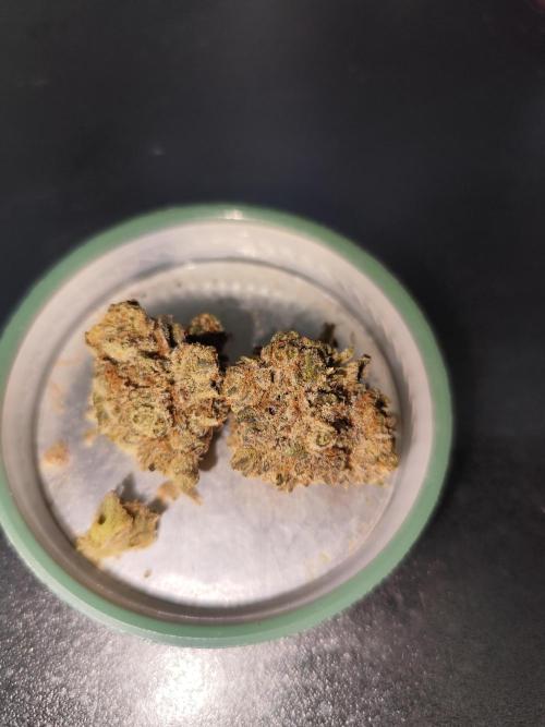 3 strains Coco grow. Week 9