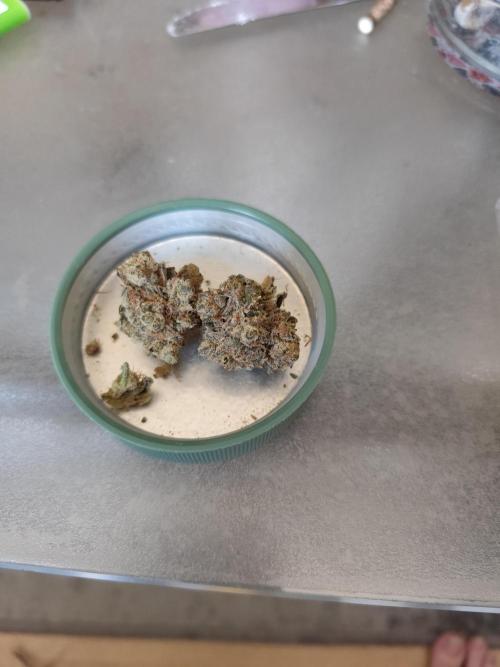 3 strains Coco grow. Week 9