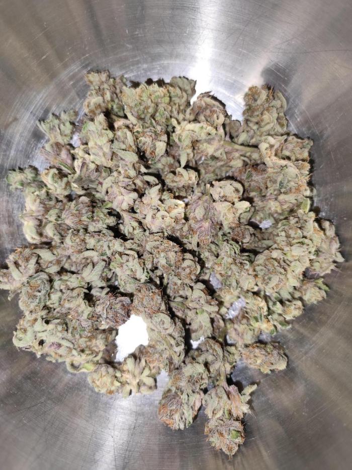 3 strains Coco grow. Week 10