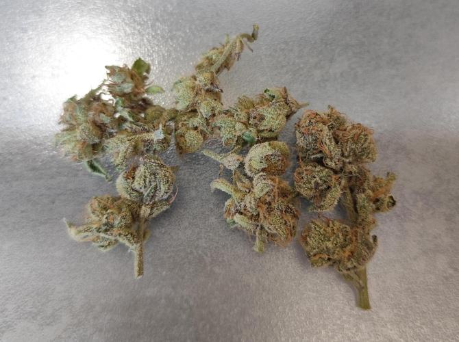 3 strains Coco grow. Week 9