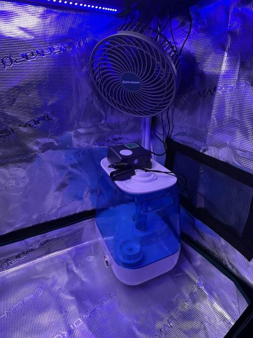 Copy Cat Super Drip S1. Week 0