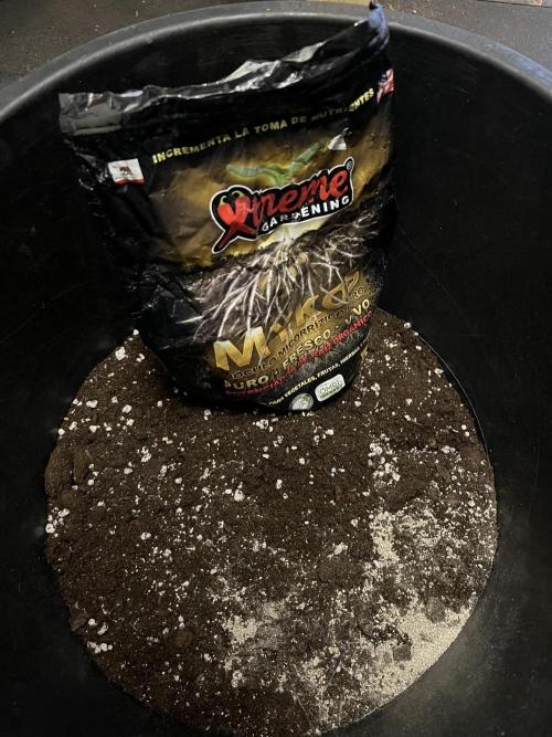 Copy Cat Super Drip S1. Week 0 - BioBizz All mix und Mykros