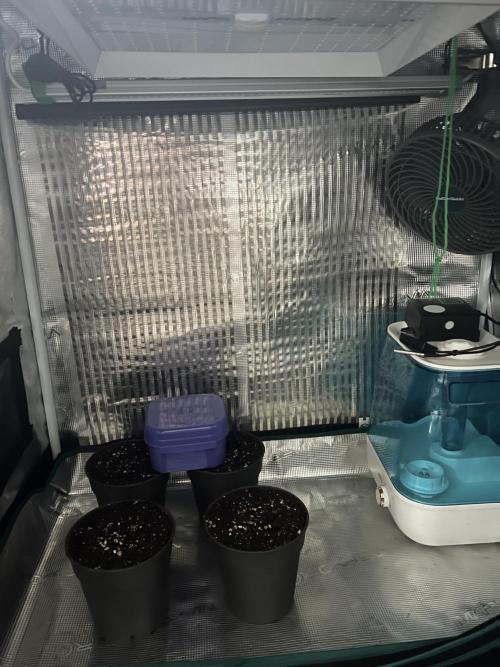 Copy Cat Super Drip S1. Week 0 - Infrarot-Heizmatte im Zelt