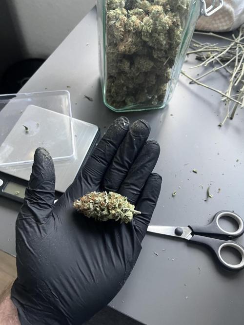 Monster Cropping 1.0. Week 17