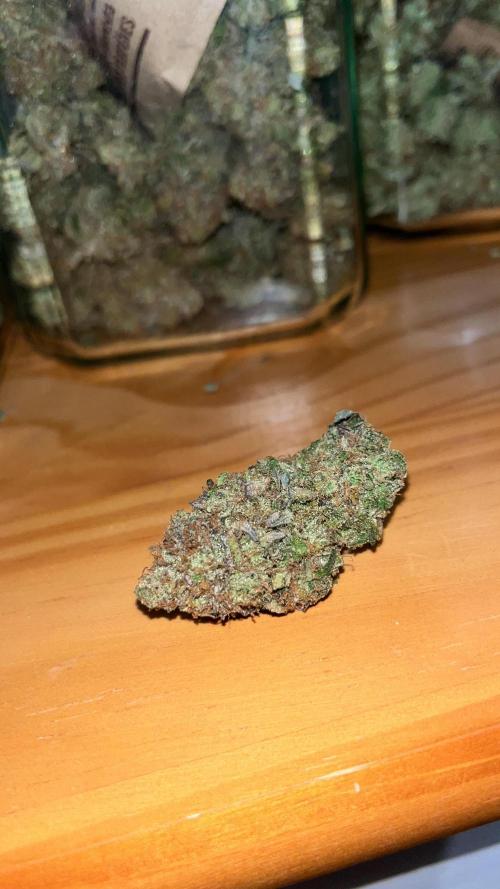 Monster Cropping 1.0. Week 17