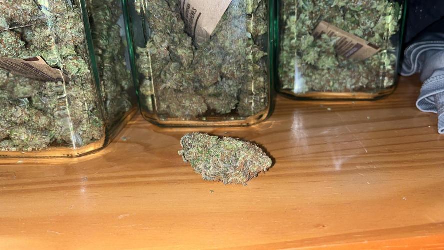 Monster Cropping 1.0. Week 17